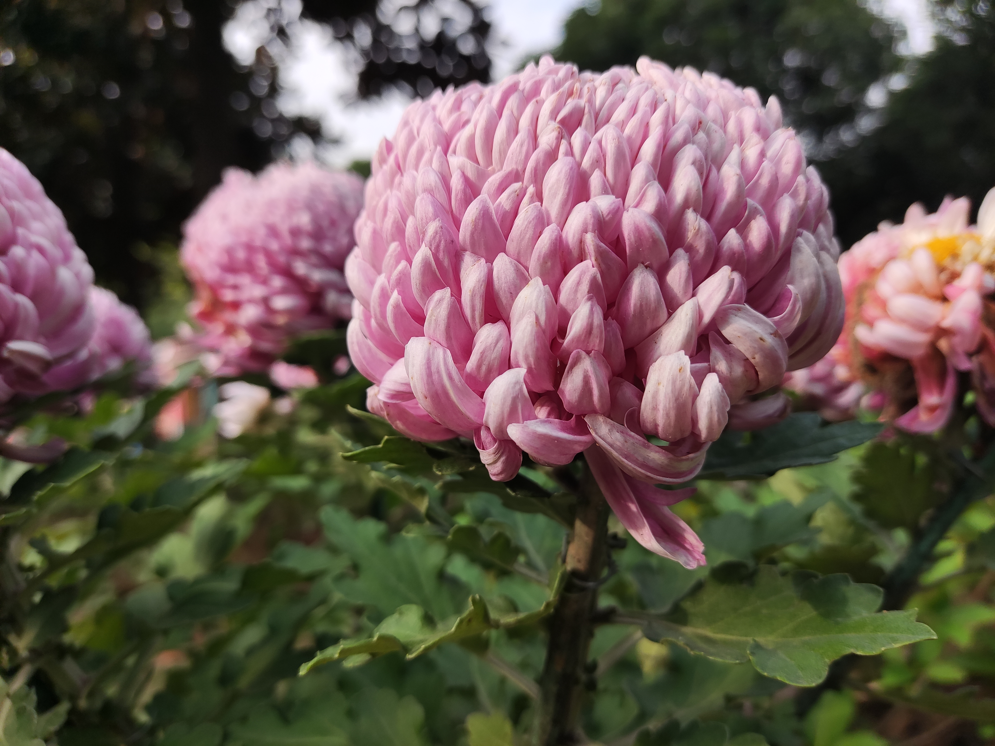 南闸狮山湖