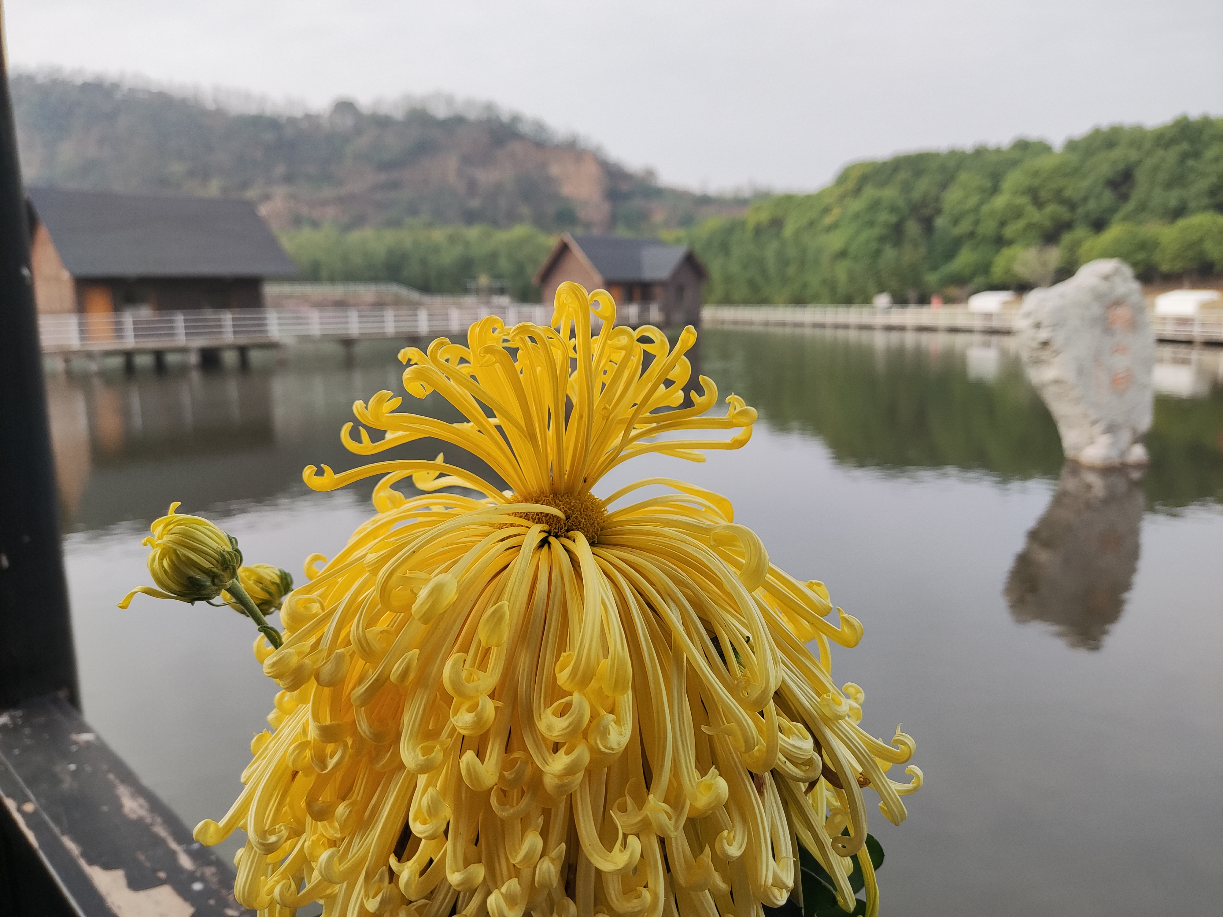南闸狮山湖